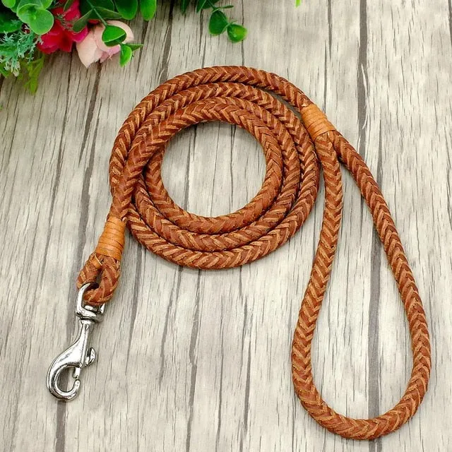 Rolled Leather Dog Leash For Small Medium Dogs Braided Leather Puppy Cat Pet Walking Leash Leads Brown Color 4ft Long