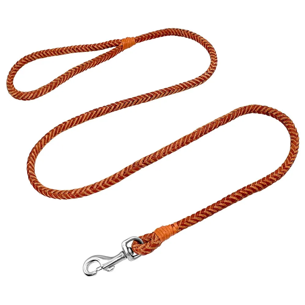 Rolled Leather Dog Leash For Small Medium Dogs Braided Leather Puppy Cat Pet Walking Leash Leads Brown Color 4ft Long