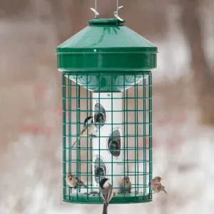 Squirrel-Proof Heavy-Duty Avian Bird Feeder