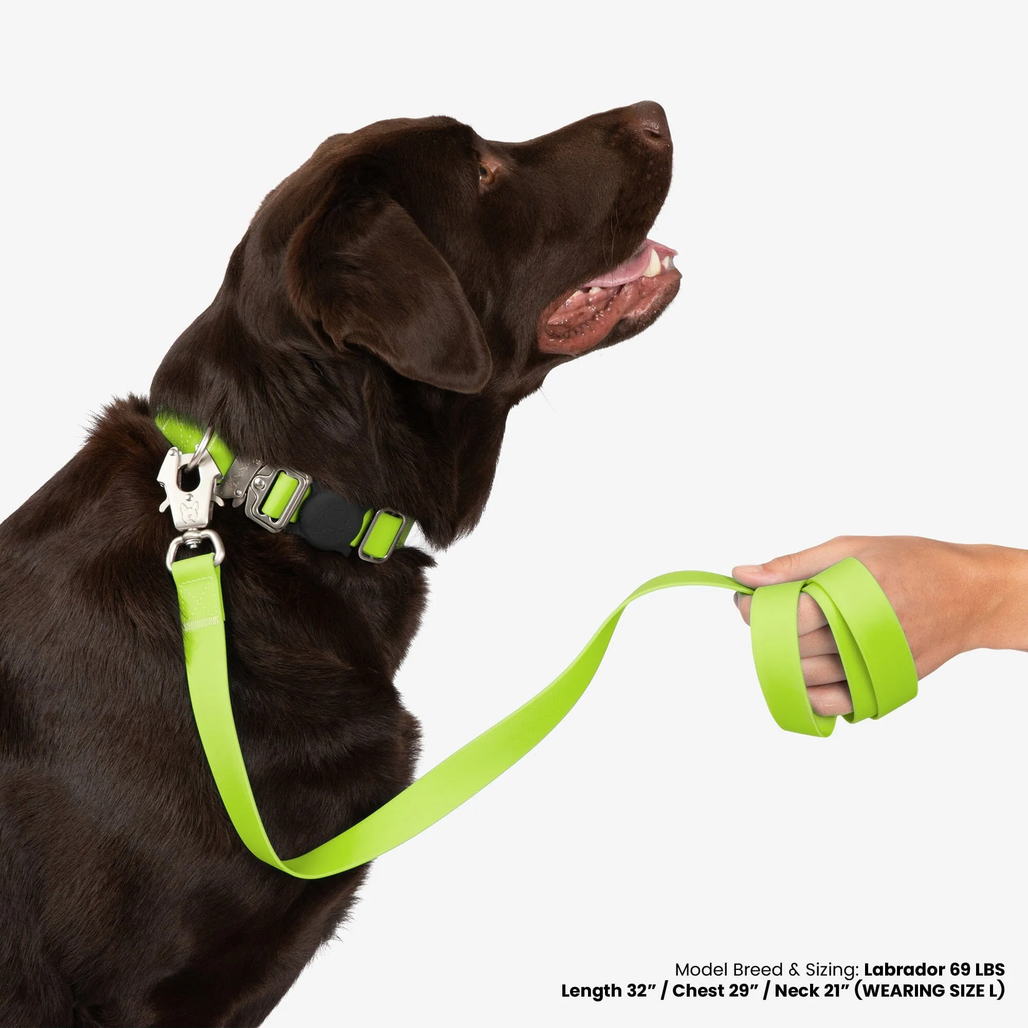 Waterproof Poly-Flex Sport Dog Collar - Neon Green