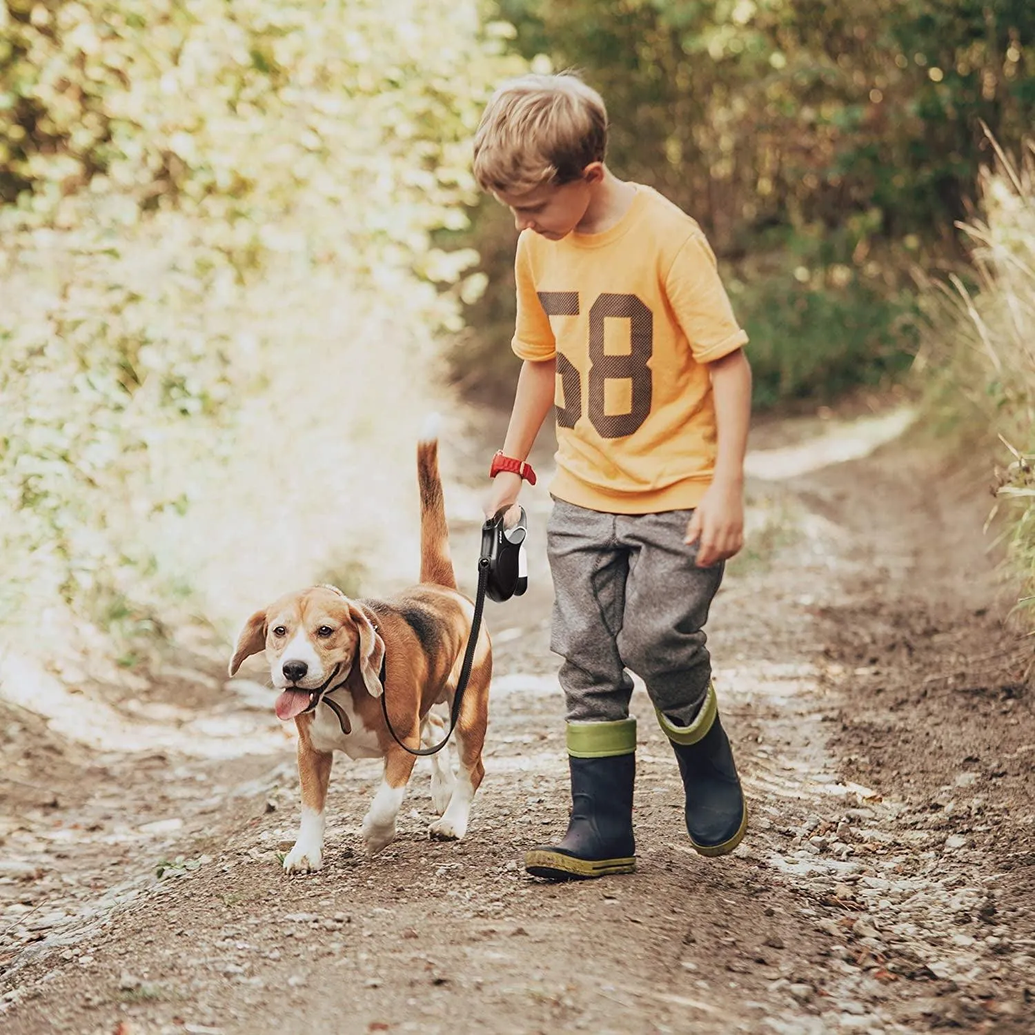 WiseWalk: 10 Ft Retractable Leash with Poop Bag Dispenser for Petite Paws